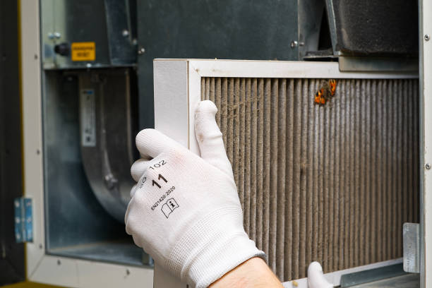 Best Duct Cleaning Specialists  in Saginaw, MI