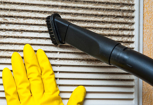 Best Local Air Duct Cleaning Services  in Saginaw, MI